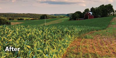 Restored Land After Coal Mining